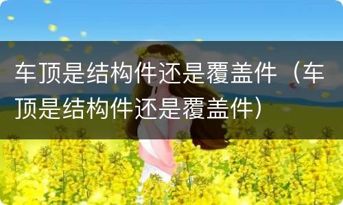 车顶是结构件还是覆盖件（车顶是结构件还是覆盖件）