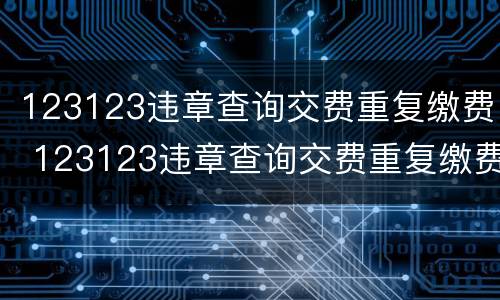 123123违章查询交费重复缴费 123123违章查询交费重复缴费会怎么样