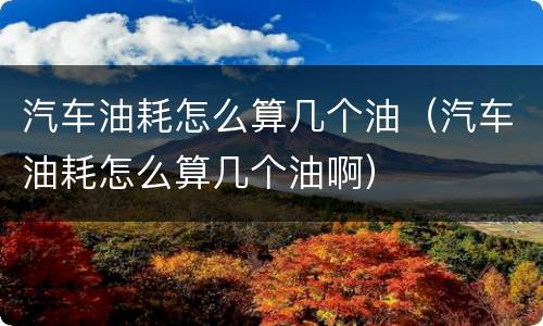 汽车油耗怎么算几个油（汽车油耗怎么算几个油啊）