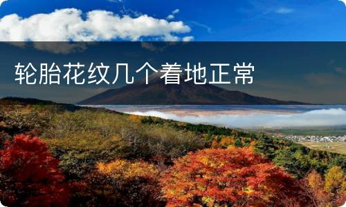 轮胎花纹几个着地正常
