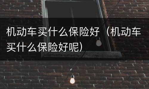 机动车买什么保险好（机动车买什么保险好呢）