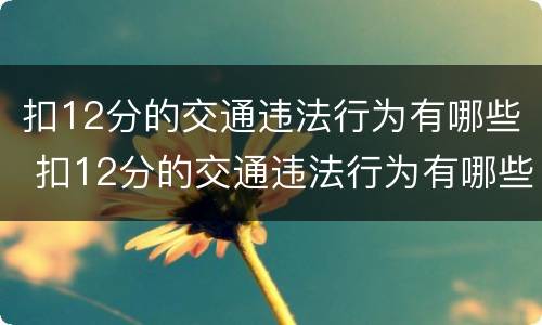 扣12分的交通违法行为有哪些 扣12分的交通违法行为有哪些