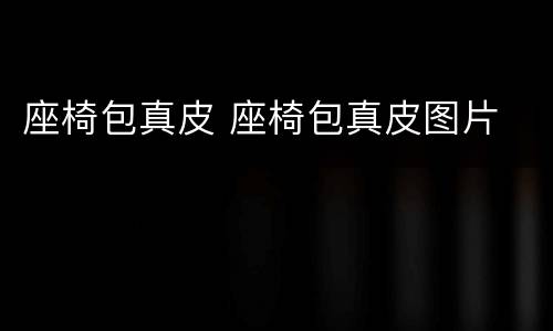 座椅包真皮 座椅包真皮图片