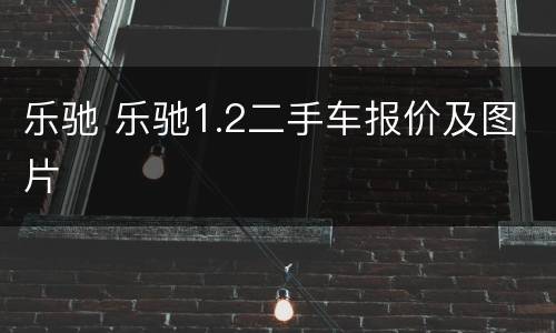 乐驰 乐驰1.2二手车报价及图片