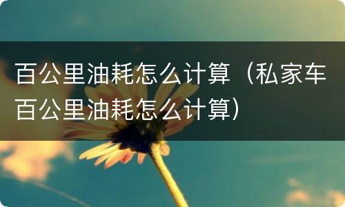 百公里油耗怎么计算（私家车百公里油耗怎么计算）