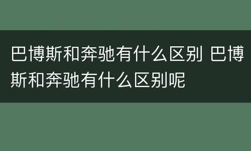 巴博斯和奔驰有什么区别 巴博斯和奔驰有什么区别呢