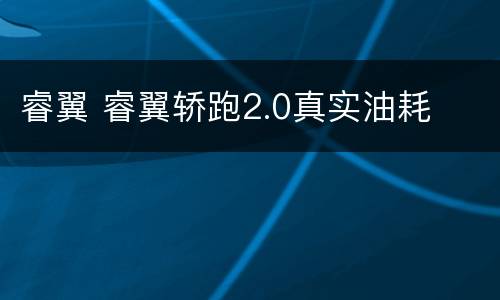 睿翼 睿翼轿跑2.0真实油耗