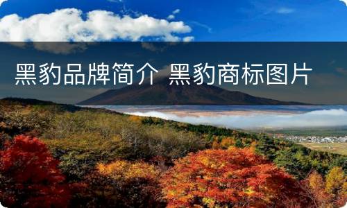 黑豹品牌简介 黑豹商标图片