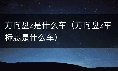 方向盘z是什么车（方向盘z车标志是什么车）
