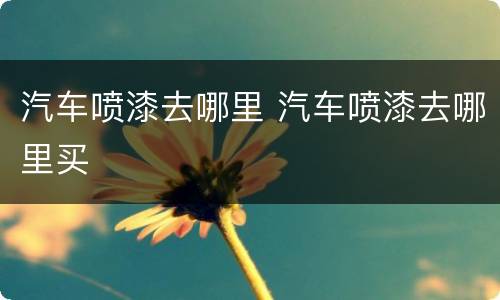 汽车喷漆去哪里 汽车喷漆去哪里买
