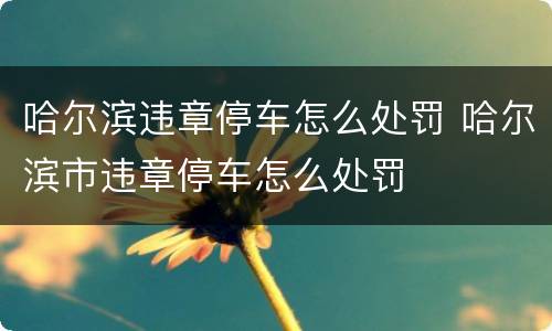 哈尔滨违章停车怎么处罚 哈尔滨市违章停车怎么处罚