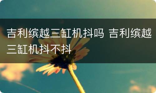 吉利缤越三缸机抖吗 吉利缤越三缸机抖不抖