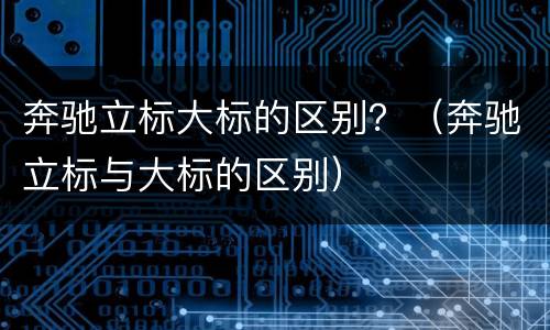 奔驰立标大标的区别？（奔驰立标与大标的区别）