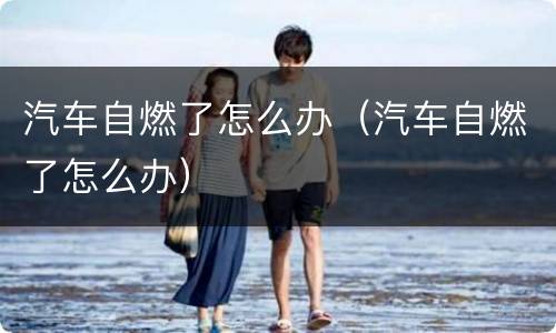 汽车自燃了怎么办（汽车自燃了怎么办）