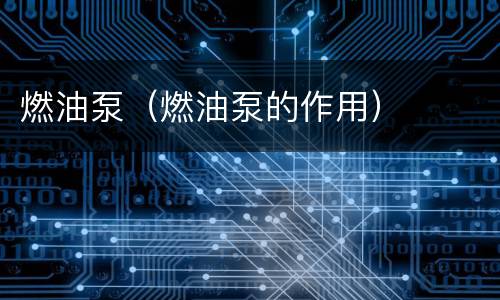 燃油泵（燃油泵的作用）