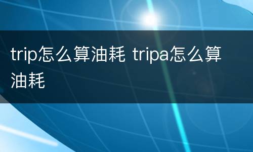 trip怎么算油耗 tripa怎么算油耗