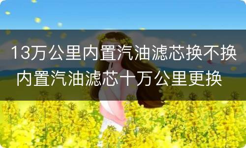 13万公里内置汽油滤芯换不换 内置汽油滤芯十万公里更换