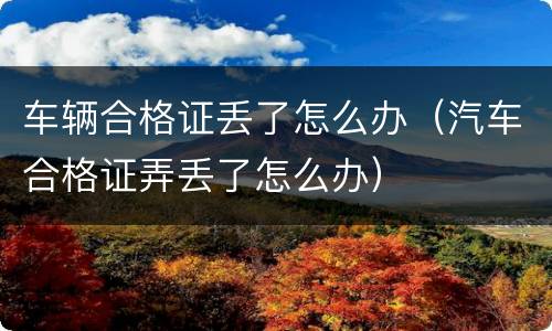 车辆合格证丢了怎么办（汽车合格证弄丢了怎么办）