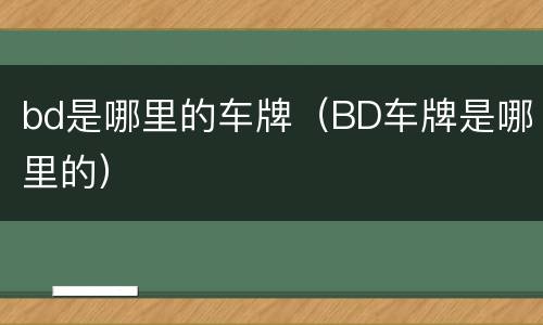 bd是哪里的车牌（BD车牌是哪里的）