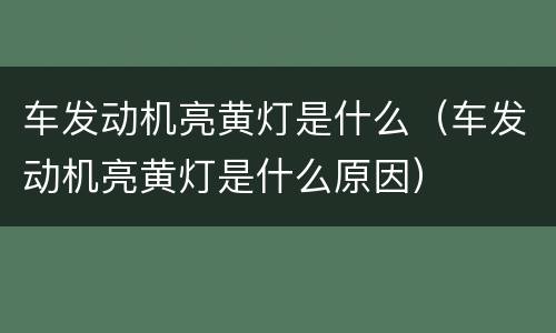 车发动机亮黄灯是什么（车发动机亮黄灯是什么原因）