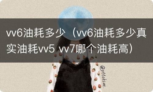 vv6油耗多少（vv6油耗多少真实油耗vv5 vv7哪个油耗高）