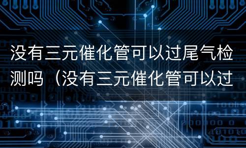 没有三元催化管可以过尾气检测吗（没有三元催化管可以过尾气检测吗视频）