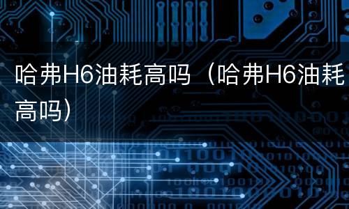 哈弗H6油耗高吗（哈弗H6油耗高吗）