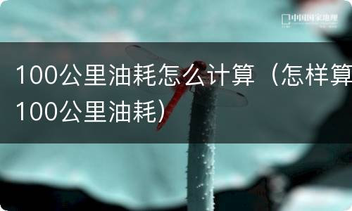 100公里油耗怎么计算（怎样算100公里油耗）