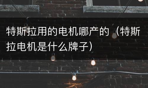 特斯拉用的电机哪产的（特斯拉电机是什么牌子）