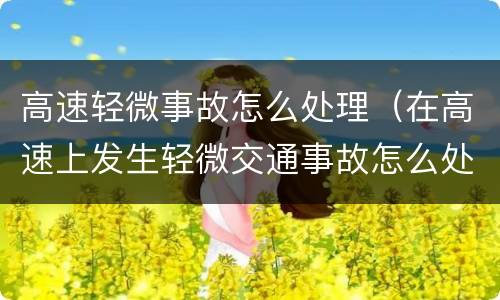 高速轻微事故怎么处理（在高速上发生轻微交通事故怎么处理）