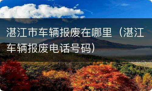 湛江市车辆报废在哪里（湛江车辆报废电话号码）