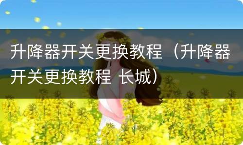 升降器开关更换教程（升降器开关更换教程 长城）
