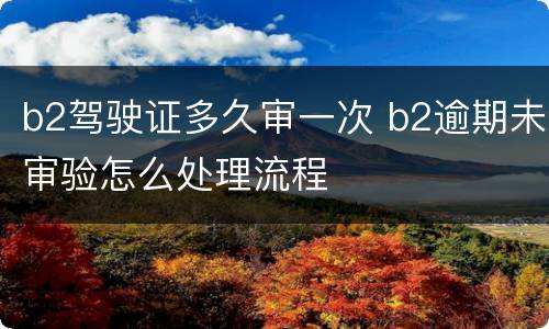 b2驾驶证多久审一次 b2逾期未审验怎么处理流程