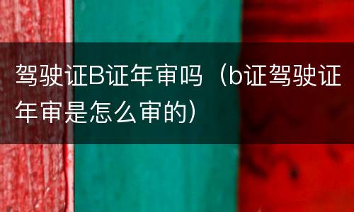 驾驶证B证年审吗（b证驾驶证年审是怎么审的）