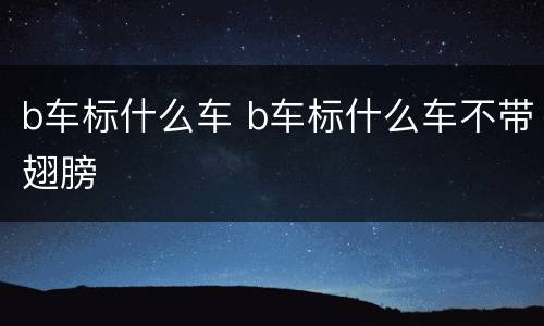 b车标什么车 b车标什么车不带翅膀