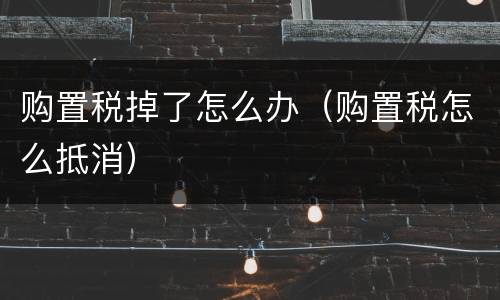 购置税掉了怎么办（购置税怎么抵消）