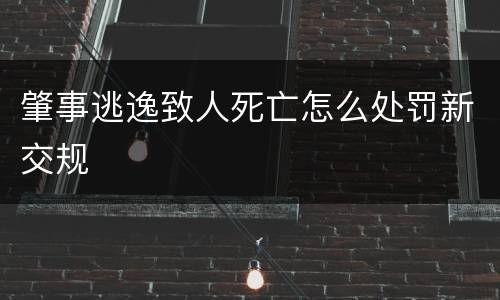 肇事逃逸致人死亡怎么处罚新交规