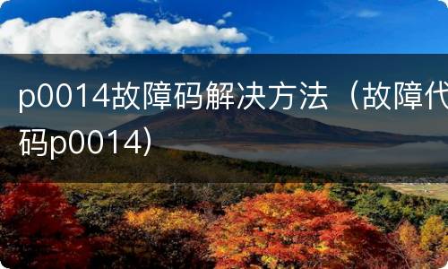 p0014故障码解决方法（故障代码p0014）