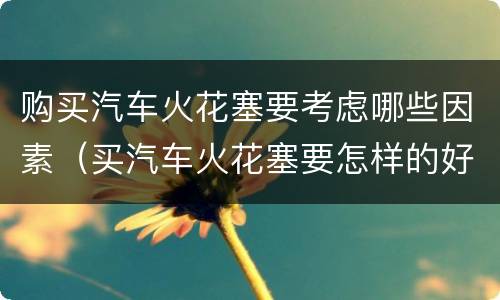 购买汽车火花塞要考虑哪些因素（买汽车火花塞要怎样的好）
