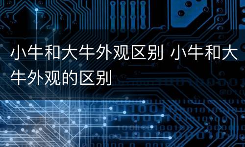 小牛和大牛外观区别 小牛和大牛外观的区别