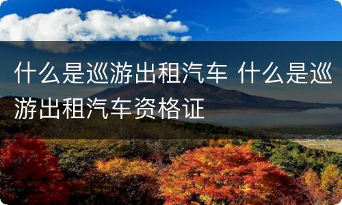 什么是巡游出租汽车 什么是巡游出租汽车资格证