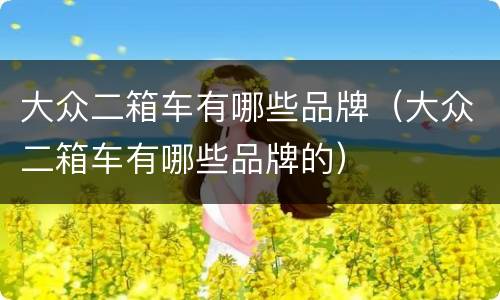 大众二箱车有哪些品牌（大众二箱车有哪些品牌的）