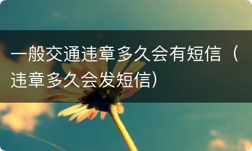 一般交通违章多久会有短信（违章多久会发短信）
