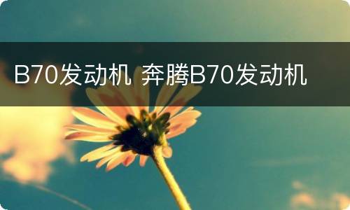 B70发动机 奔腾B70发动机