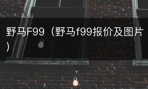 野马F99（野马f99报价及图片）