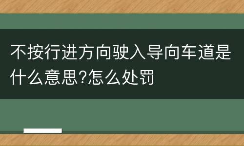 不按行进方向驶入导向车道是什么意思?怎么处罚
