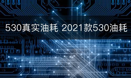 530真实油耗 2021款530油耗