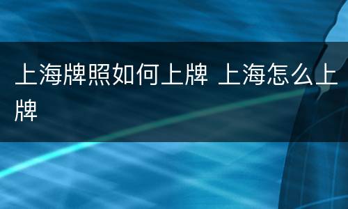 上海牌照如何上牌 上海怎么上牌