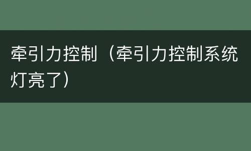 牵引力控制（牵引力控制系统灯亮了）
