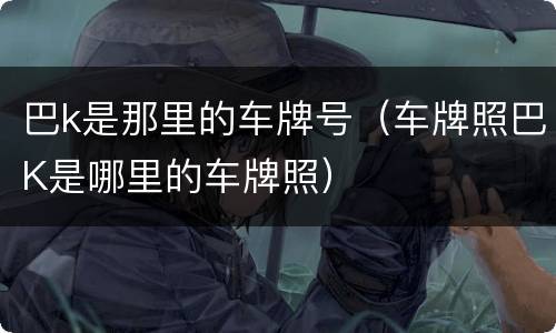 巴k是那里的车牌号（车牌照巴K是哪里的车牌照）